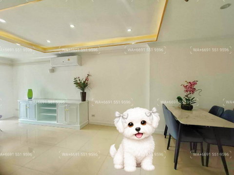 2Bed Pet-Friendly Apartment Rental Sukhumvit Central Bangkok✨Near BTS Ploenchit, MRT Petchaburi🔰 We can show all available units here