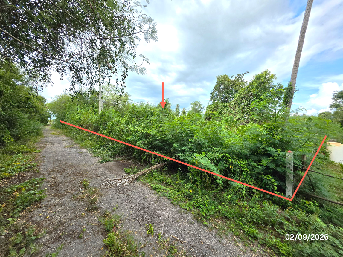 picture LAND 204 Sq.w. Don Sak Surat Thani for 1.3M - 9/19