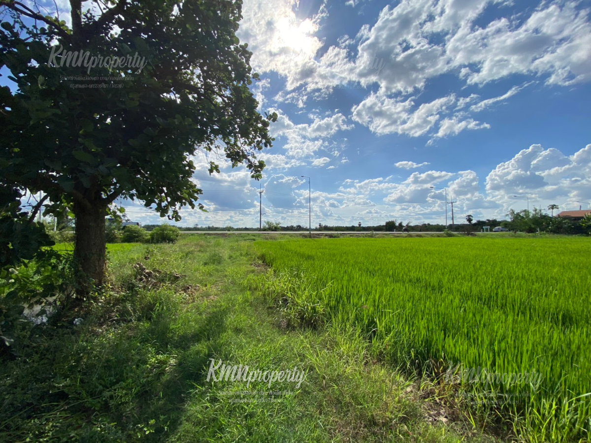 picture LAND FOR SALE HIGHWAY 2045 FRONTAGE 5 Rai | THB 4.5 Million - 7/9