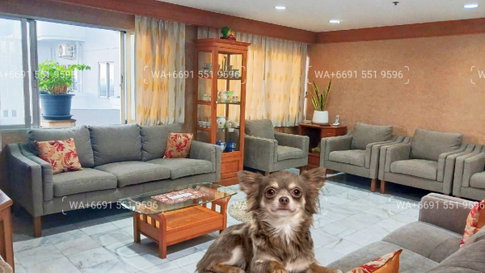 Corner💚2Bed Pet Friendly Condo for Rent Sukhumvit✨Near BTS Ploenchit, MRT Petchaburi🔰 We can show all available units here