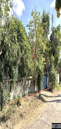 picture HOME 60 Sq.w. Muang Buri Ram Buri Ram for 1.3M - 5/15