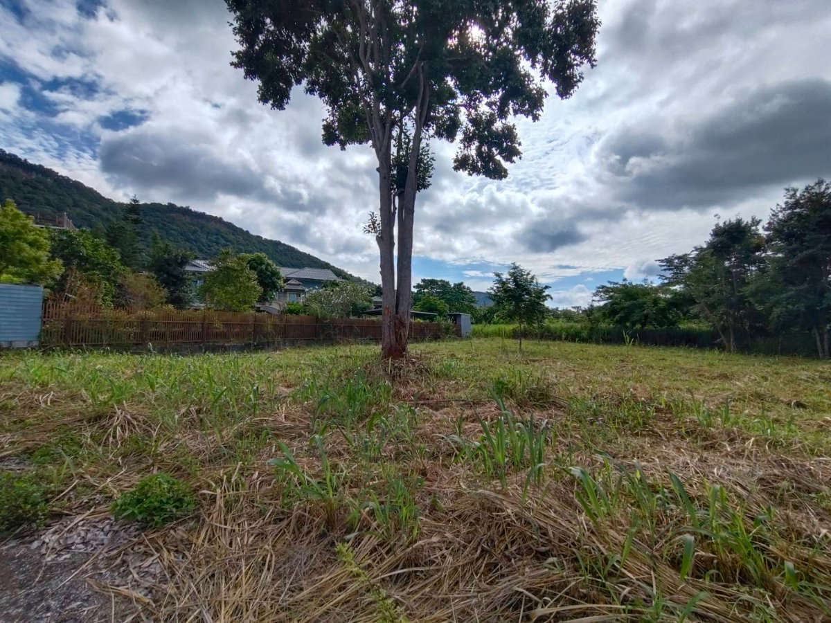รูป 99069 - ขายที่ดินเขาใหญ่แปลงสวย วิวภูเขาทำเลดี อากาศเย็นสบาย ขนาด 1ไร่ 34 ตารางวา ติดถนนธนะรัชต์ กุดคล้า-ผ่านศึก - รูปที่ 4/8