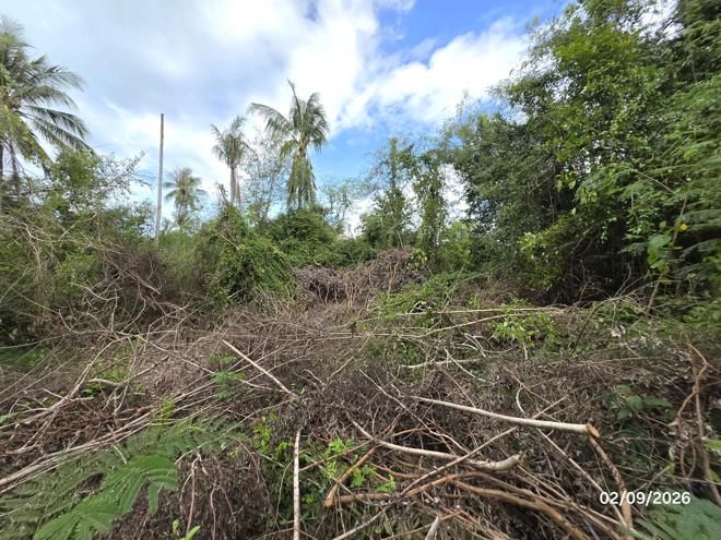 picture LAND 173 Sq.w. Don Sak Surat Thani for 1.3M - 8/23