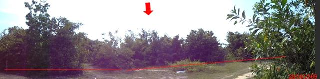 picture LAND 8296.2 Sq.w. Muang Narathiwat Narathiwat for 7.5M - 10/13