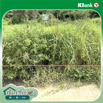 รูป บ้านเดี่ยว 900 ตร.วา เมืองขอนแก่น ขอนแก่น 2.2M - รูปที่ 17/19