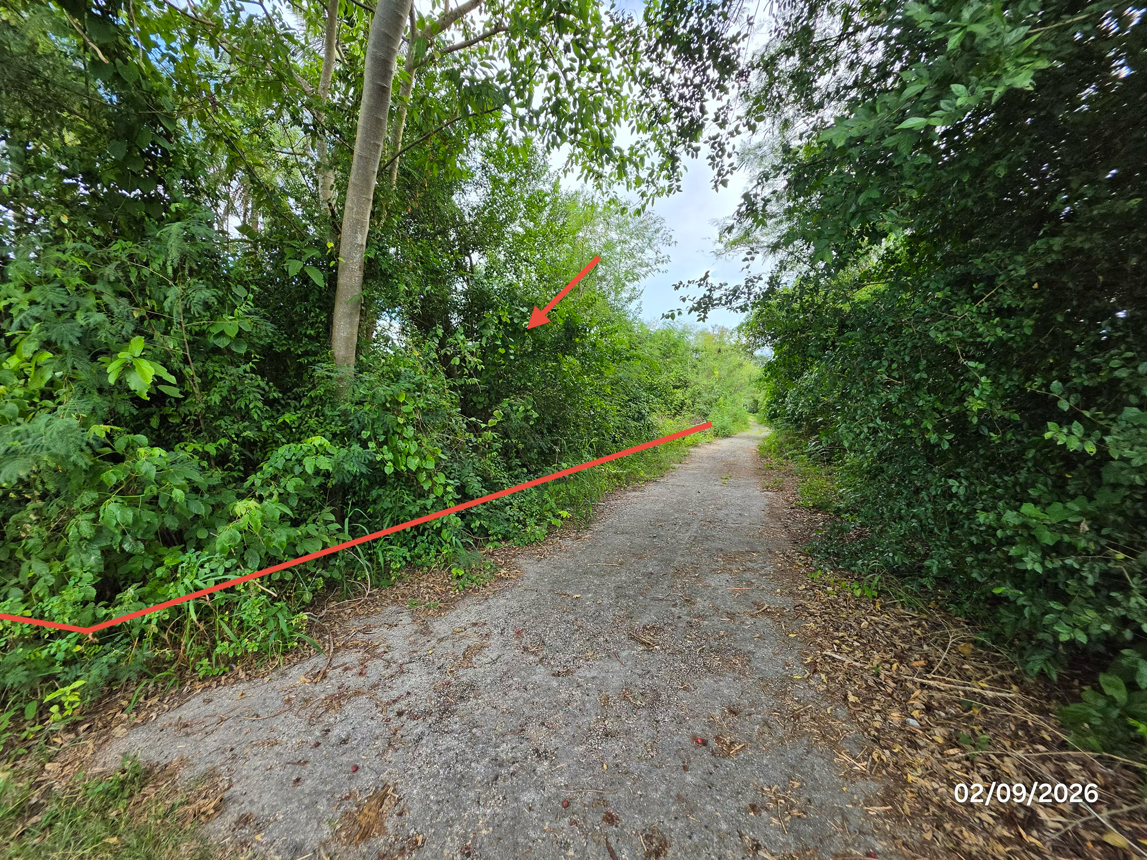 picture LAND 173 Sq.w. Don Sak Surat Thani for 1.3M - 15/23
