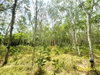 listing thumbnail image 19