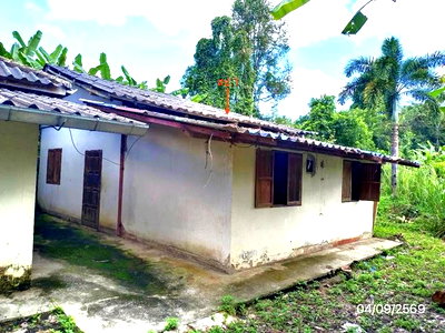 HOME 1597 Sq.w. Mae Chan Chiang Rai for 4.7M