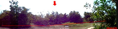 Land for sale Muang Narathiwat Narathiwat : LAND 8296.2 Sq.w. Muang Narathiwat Narathiwat for 7.5M