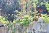 listing thumbnail image 4
