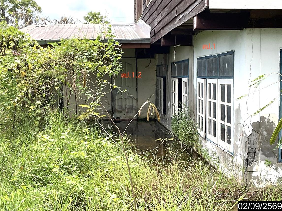 picture FACTORY 391 Sq.w. Muang Udon Thani Udon Thani for 3.8M - 32/41