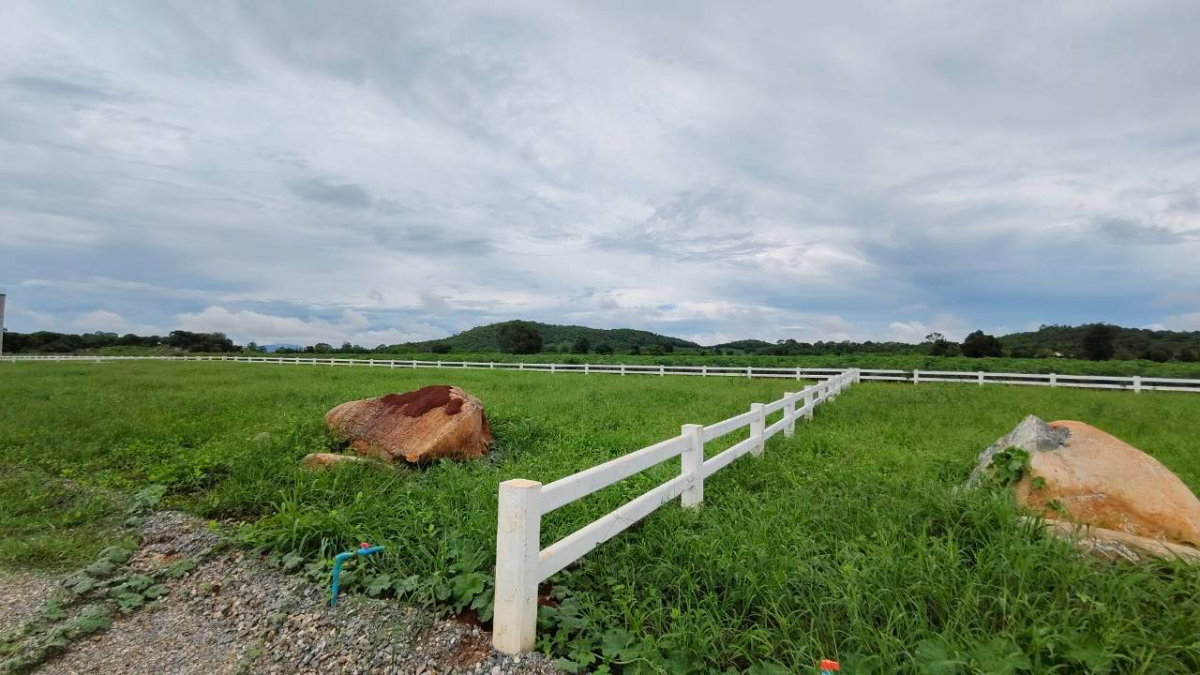 รูป 94427 - ขายที่ดินแบ่งแปลงในโครงการไทรอรุณ (วังไทร ปากช่อง) 200 ตร.ว. ขึ้นไป ใกล้ Movenpick Khaoyai - รูปที่ 1/7