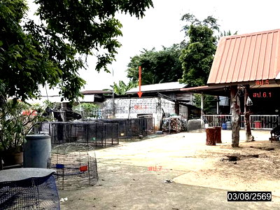 HOME 245.2 Sq.w. Sam Sung Khon Kaen for 3.3M