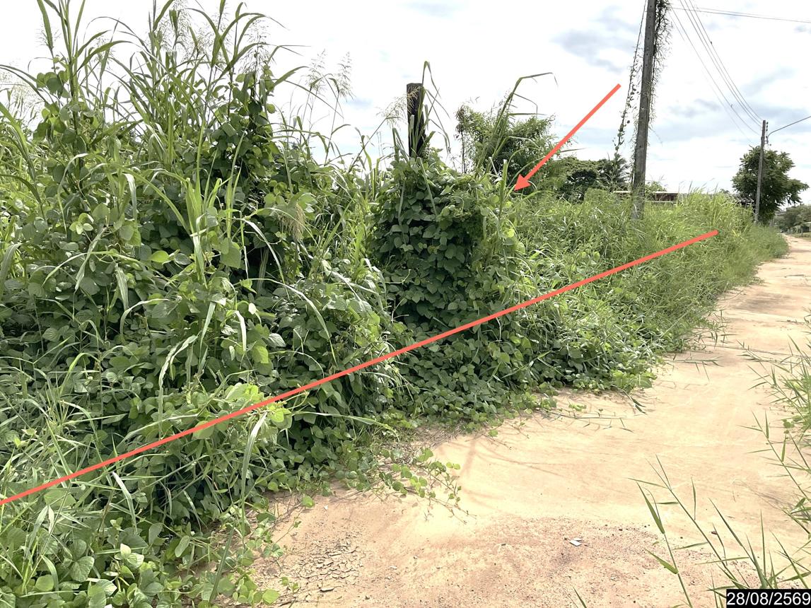 รูป บ้านเดี่ยว 900 ตร.วา เมืองขอนแก่น ขอนแก่น 2.2M - รูปที่ 12/19