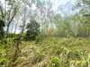 listing thumbnail image 18