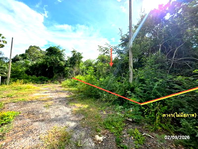 ขายที่ดิน : ที่ดินว่างเปล่า 185 ตร.วา ดอนสัก สุราษฎร์ธานี 1.1M