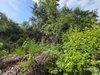 listing thumbnail image 18