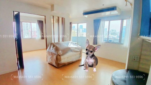 Newly Renovated🌟2Bed Pet Friendly Condo for Rent✨Near BTS Sukhumvit Line; Ploenchit, MRT Blue Line; Petchaburi🔰 We can show all available units here