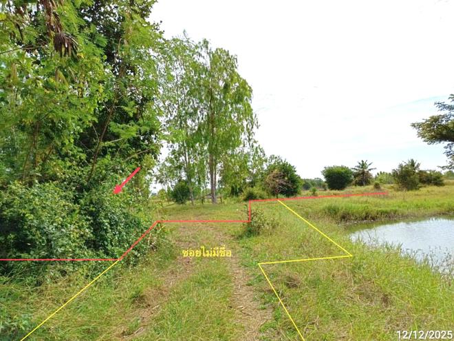 รูป บ้านเดี่ยว 1140 ตร.วา พิมาย นครราชสีมา 1.6M - รูปที่ 6/15
