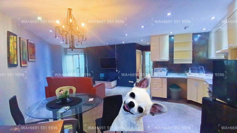 2Bed Pet-Friendly Apartment Rental Sukhumvit Central Bangkok✨Near BTS Ploenchit, MRT Petchaburi🔰 We can show all available units here