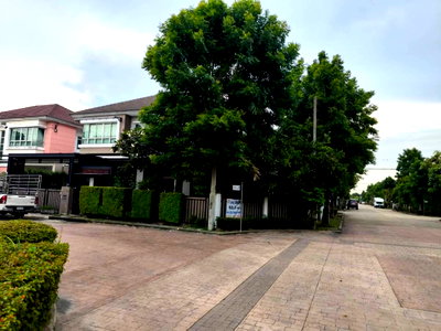 เช่าบ้านเดี่ยว เดอะ บริโอ้ มอลล์ : ND1066  ให้เช่า ไลฟ์ บางกอก บูเลอวาร์ด ปิ่นเกล้า-เพชรเกษม 