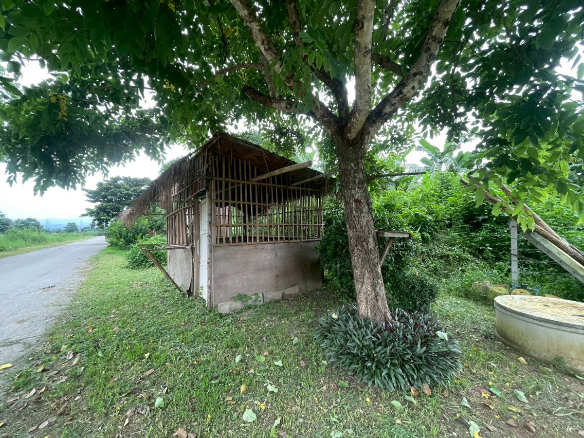 รูป 97721 - ขายที่ดิน 1 ไร่ 4.6 ตร.ว. ถมแล้ว ริมคลองชลประทาน ตำบลสันมหาพน อำเภอแม่แตง จังหวัดเชียงใหม่ ใกล้โรงเรียนแม่แตง - รูปที่ 6/10