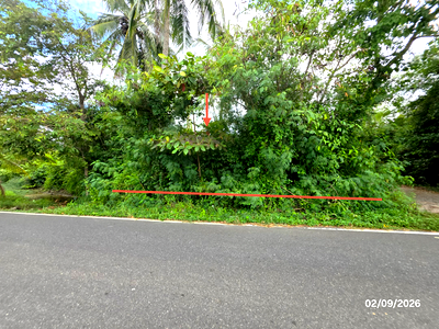 LAND 173 Sq.w. Don Sak Surat Thani for 1.3M