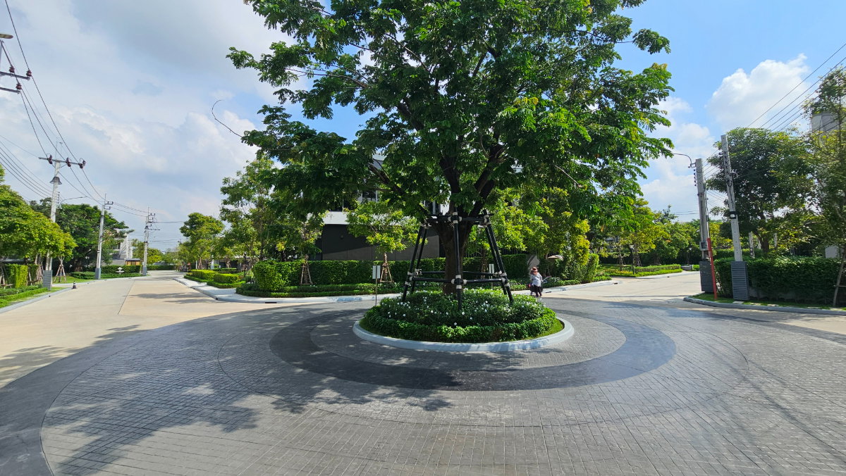 รูป ให้เช่าทาวน์เฮาส์ | พลีโน่ สุขุมวิท–บางนา 3 - รูปที่ 45/51