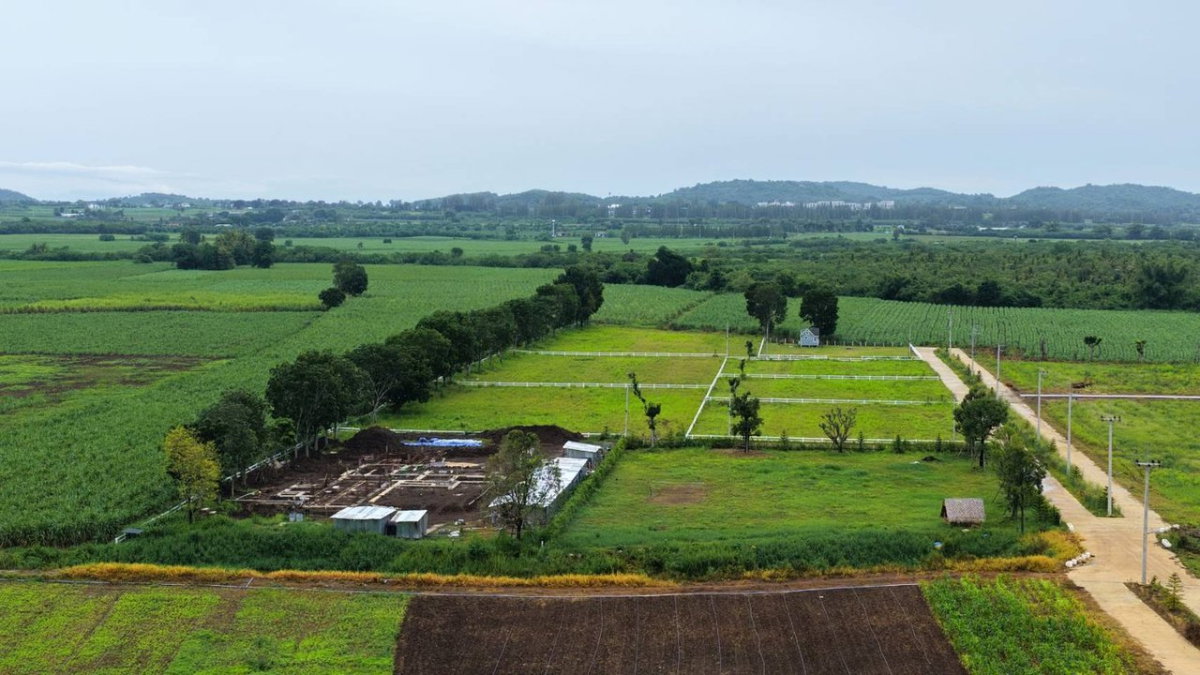 picture Mountain view land for sale 1 rai 2.8M THB, Khlong Muang, Pak Chong, Khao Yai (Elite Zone B) - 2/7