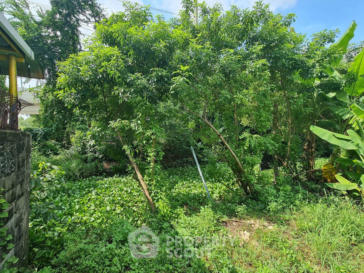 รูป ที่ดินทำเลตลาดขวัญ ใกล้ MRT กระทรวงสาธารณสุข นนทบุรี (ID 3409804) - รูปที่ 5/8