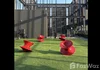 listing thumbnail image 14