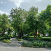 listing thumbnail image 9