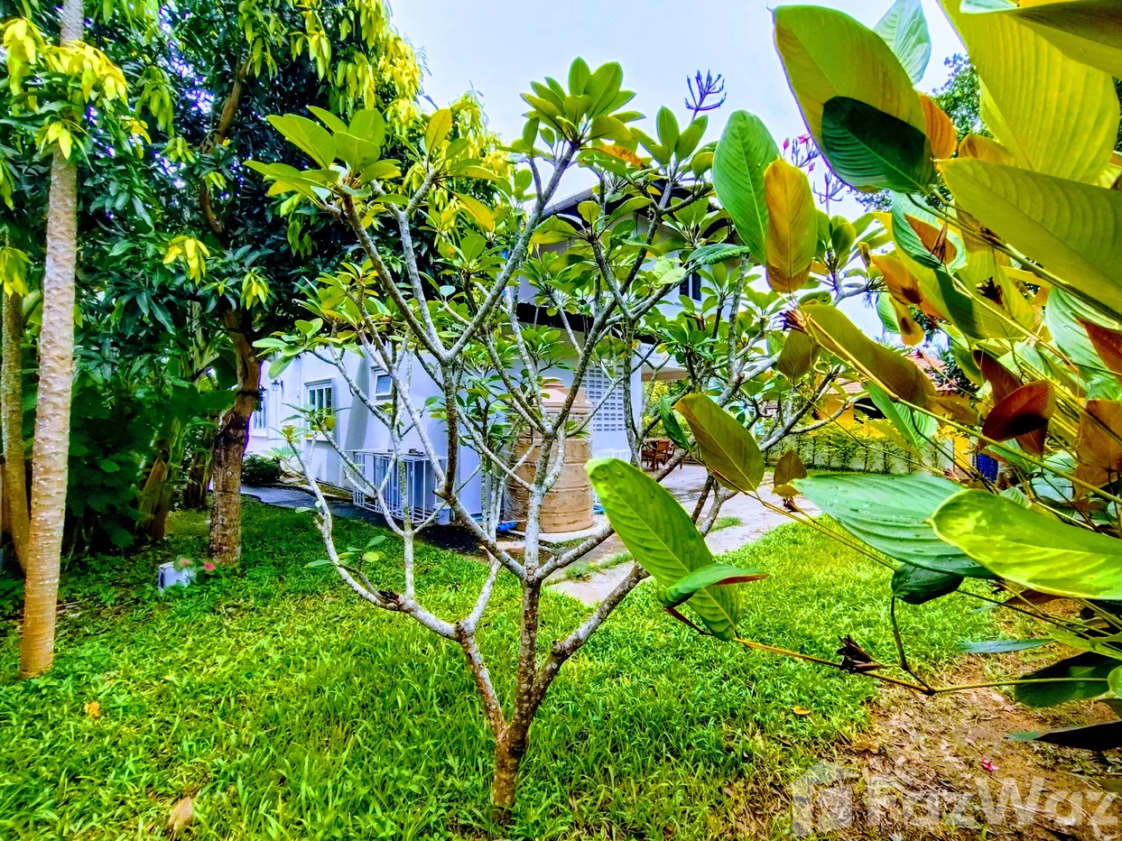 รูป บ้านเดี่ยวให้เช่า 3 ห้องนอน ใน เทพกระษัตรี, ภูเก็ต 6855155 - รูปที่ 12/32