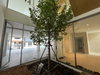 listing thumbnail image 13