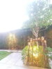 listing thumbnail image 14