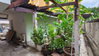 listing thumbnail image 18