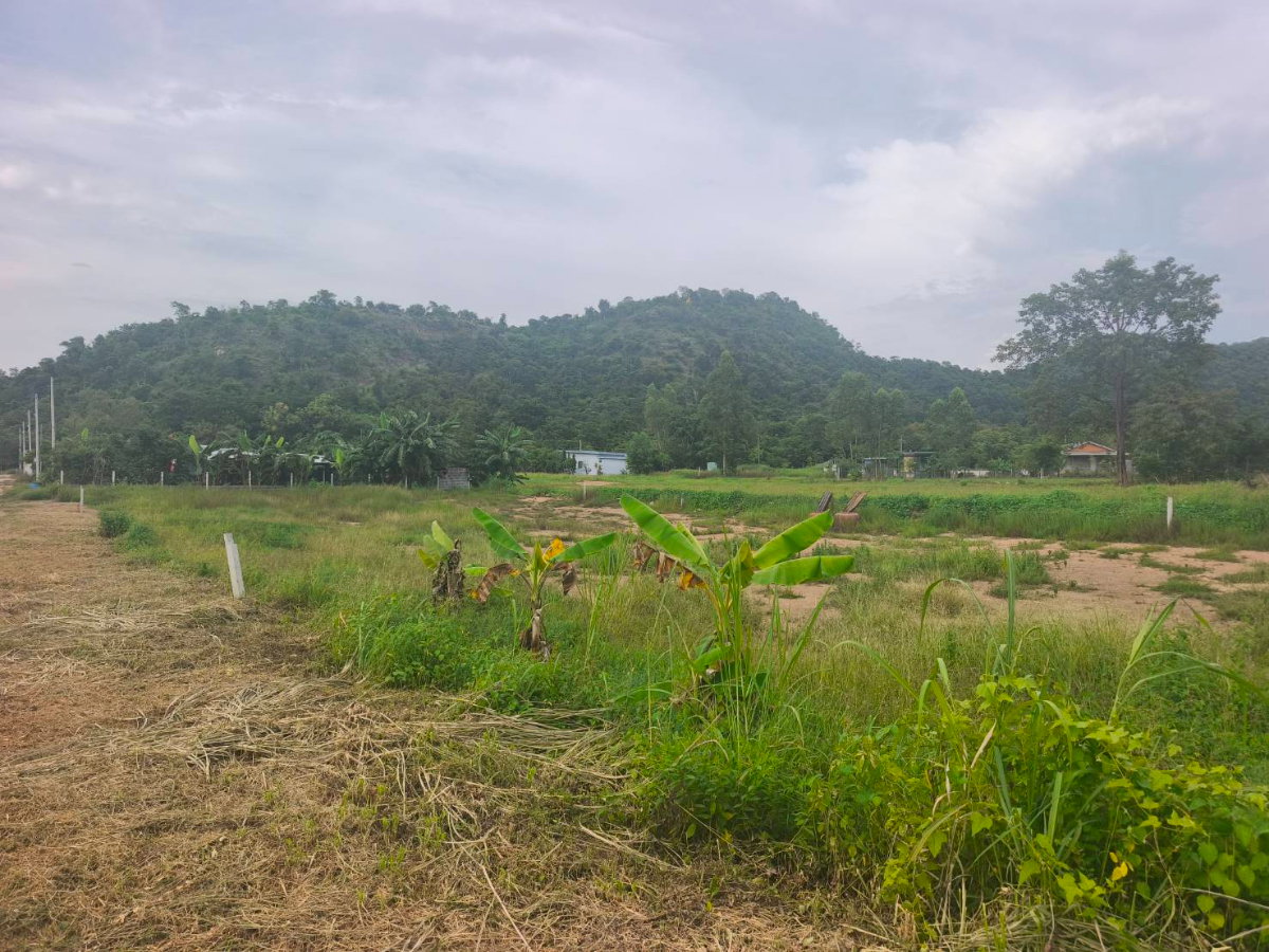 picture Land for sale in Klang Daet, Nakhon Sawan Province - 3/6