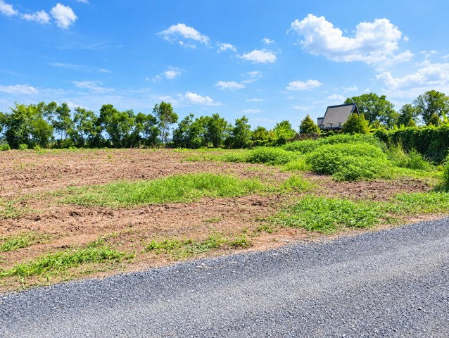 picture 			Land for rent or sale in Lam Luk Ka Khlong 10. The plot is 2 rai 3200 sq.m. and has already been fil           - 1/8