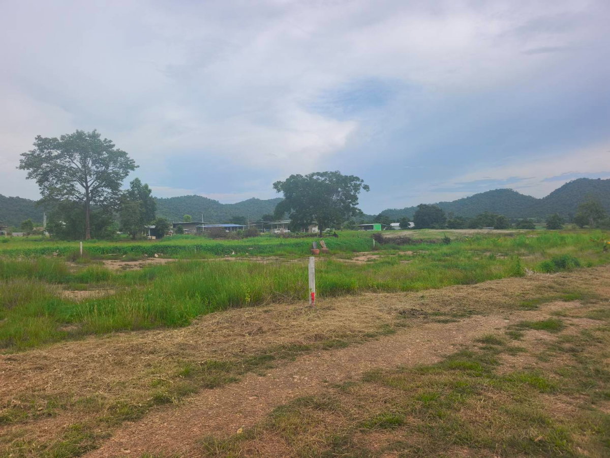 picture Land for sale in Klang Daet, Nakhon Sawan Province - 5/6