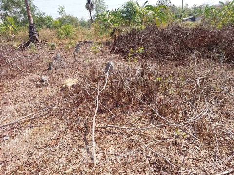 Land Plot In Phanat Nikhom, Chon Buri (ID 3406388)