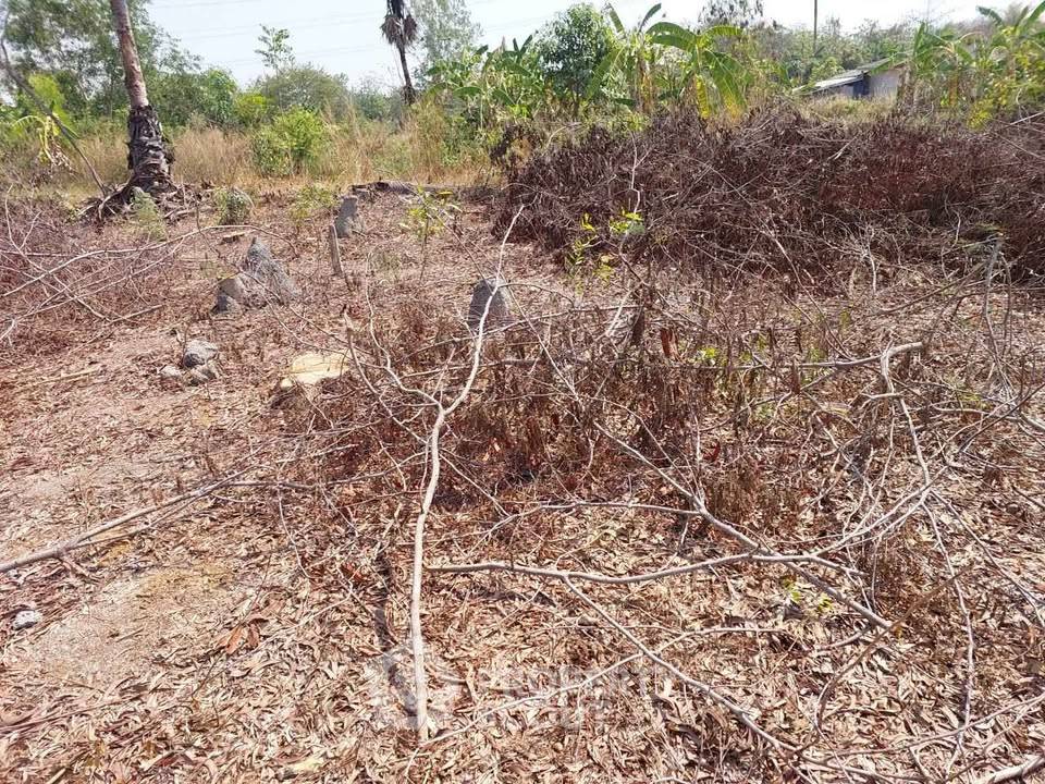 picture Land Plot In Phanat Nikhom, Chon Buri (ID 3406388) - 1/5