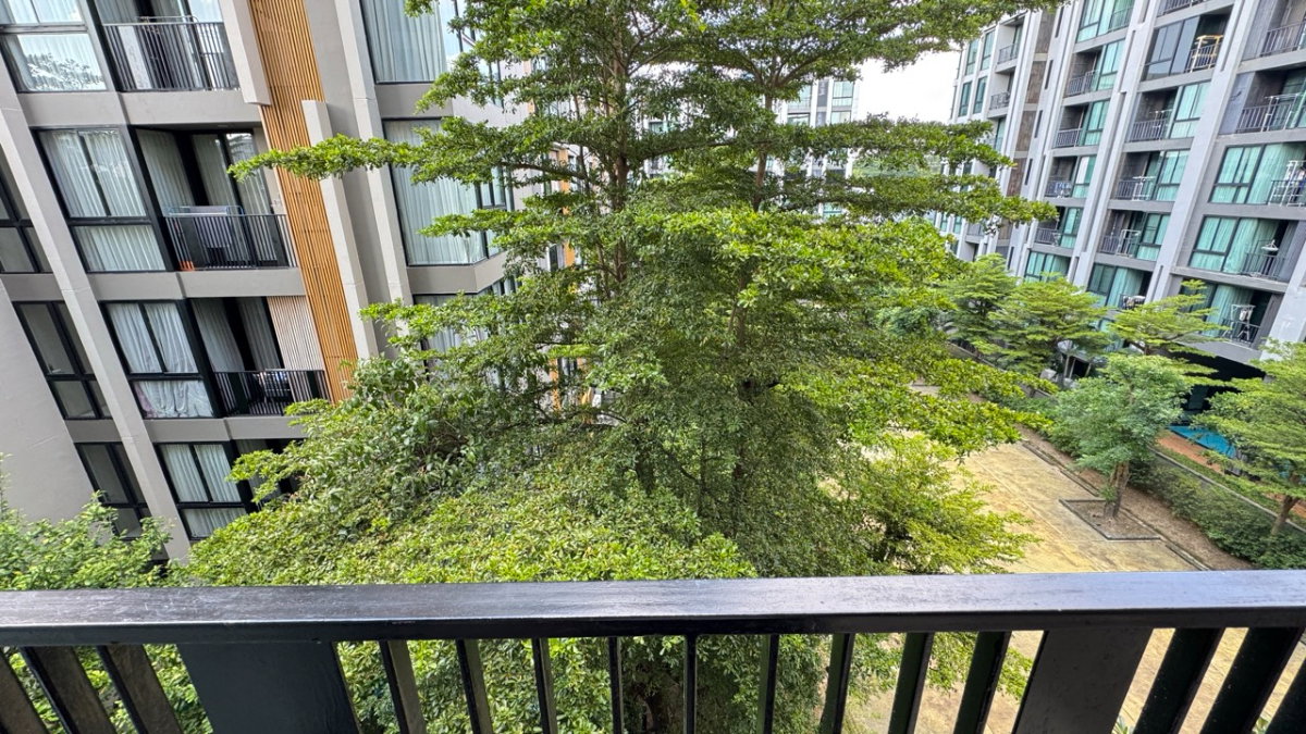 picture For sale Condo Palm Spring The Palor at Nimman Chiangmai - 6/13