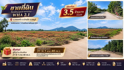 ขายที่ดินติดนิคมอุตสาหกรรม WHA 2.1 31 ไร่กว่า บ้านบึง ชลบุรี