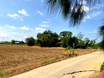 Land for sale : 📣 Urgent sale! More than 5 rai of land, prime location, district. Sao Hai Province Saraburi (Owner sells it himself)
