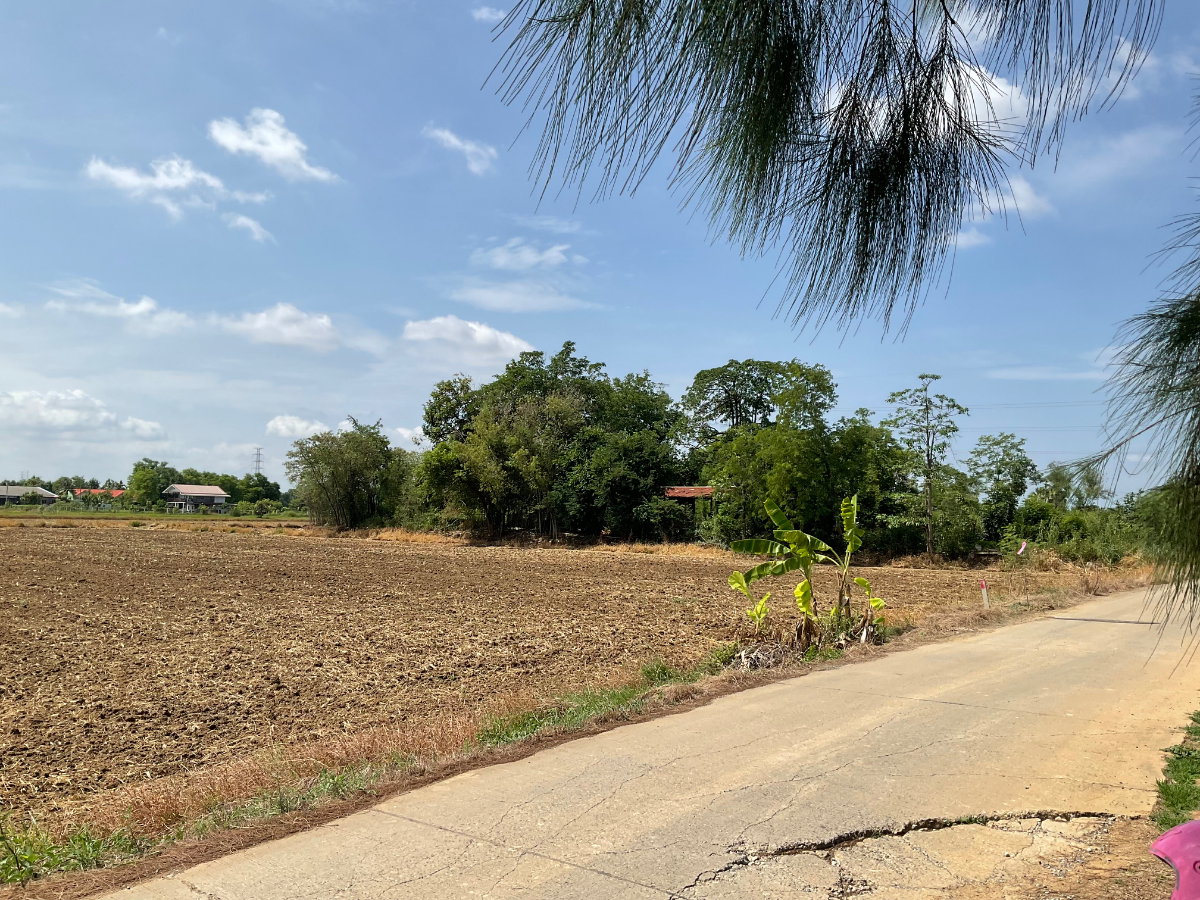 รูป 📣 ขายด่วน! ที่ดินยกแปลง 5 ไร่กว่า ทำเลทอง อ.เสาไห้ จ.สระบุรี (เจ้าของขายเอง) - รูปที่ 1/7