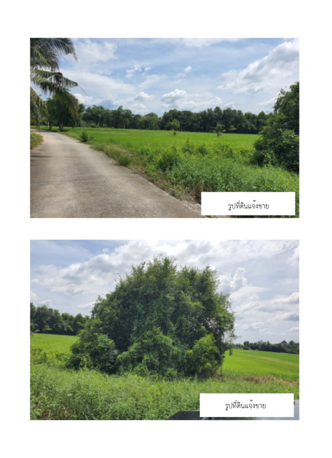 picture Land for sale at Chakbok Rayong - 6/7