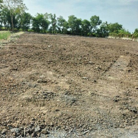 picture 			Land for rent or sale in Lam Luk Ka Khlong 10. The plot is 2 rai 3200 sq.m. and has already been fil           - 2/8
