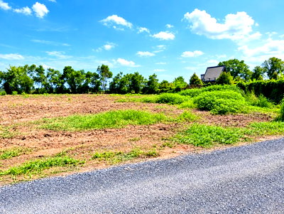 Land for rent วิทยาลัยพลศึกษากรุงเทพ : 			1.5 km. from Wat Mai Klang Khlong Sip. Land for rent or sale in LamLukKa Khlong10. 2rai Rangsit-Nakh          