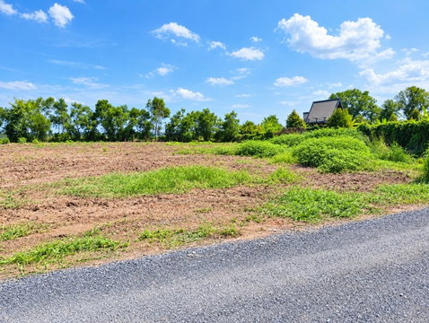 			1.5 km. from Wat Mai Klang Khlong Sip. Land for rent or sale in LamLukKa Khlong10. 2rai Rangsit-Nakh          