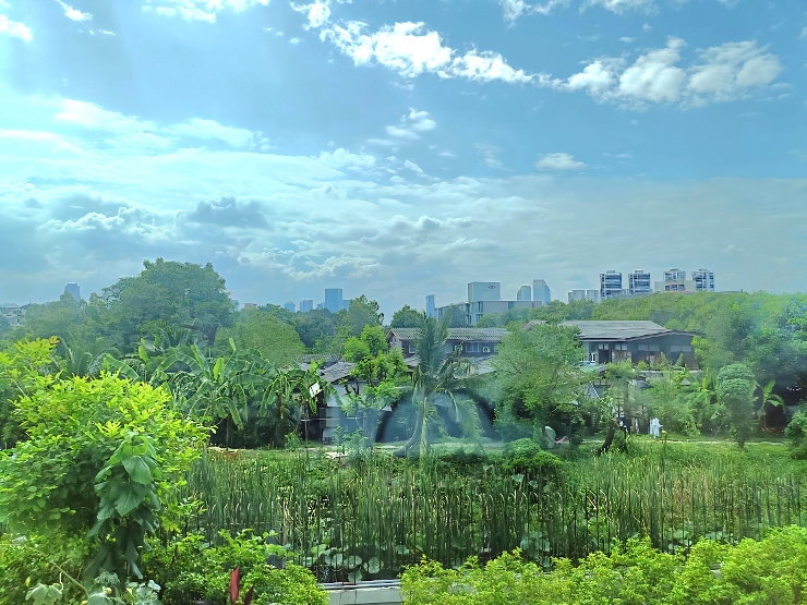 picture For Rent: Leticia Rama 9 | 190 Sq.m. | 3 Beds, 3 Baths | Poolside Ground - 9/47